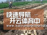 种植基地七(图1)