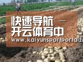 种植基地八