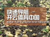 种植基地七