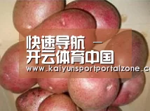 产品展示标题1
