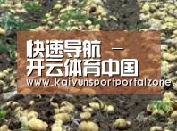 种植基地八(图1)