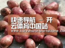 产品展示标题5(图1)