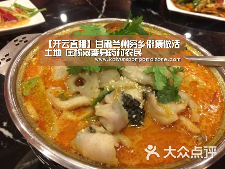 【开云直播】甘肃兰州穷乡僻壤做活土地 庄稼汉变身药材农民(图1) 开云体育数据