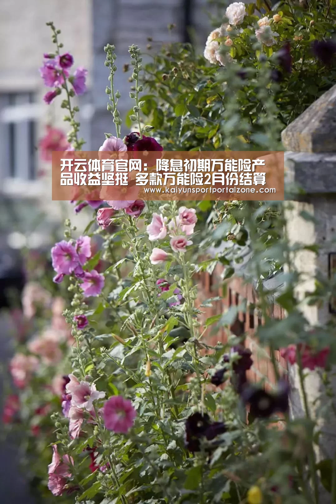 开云体育官网:降息初期万能险产品收益坚挺 多款万能险2月份结算利率过6%(图3) 开云直播